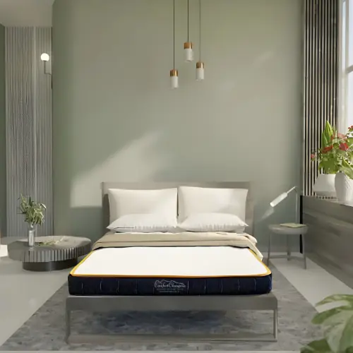SPINE CARE MATTRESS Supplier & Exporter In Ahmedabad , India , Gujarat